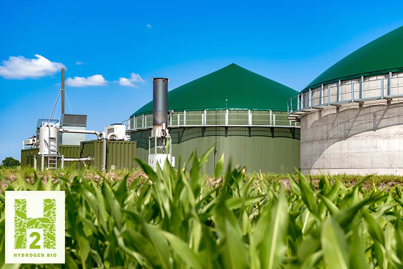 Hersteller Dampfreformer: Vom Biogas zum grünen Wasserstoff